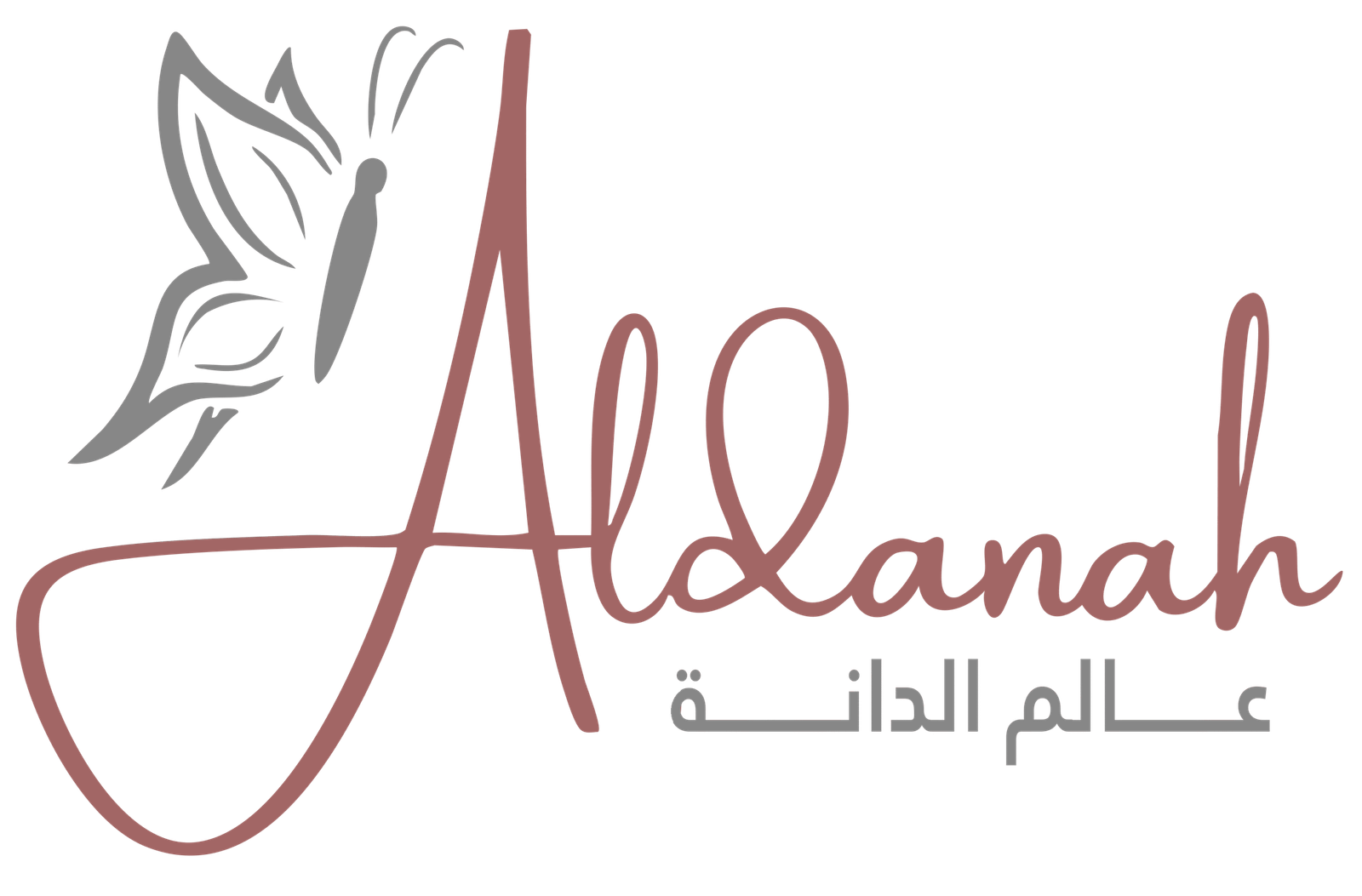 صالون عالم الدانة